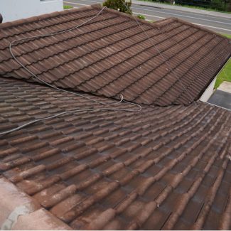 Roof Cleaning