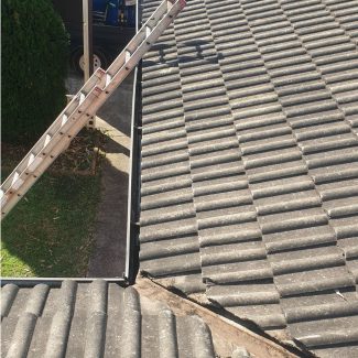 Roof Cleaning