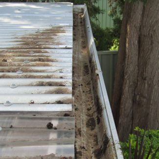 Gutter Cleaning