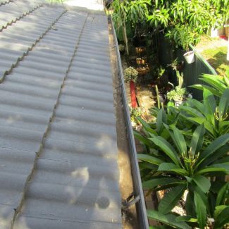 Gutter Cleaning