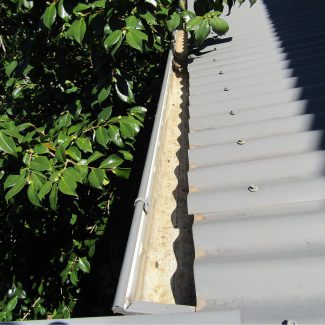 Gutter Cleaning